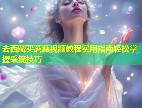 去西藏买蘑菇视频教程实用指南轻松掌握采摘技巧