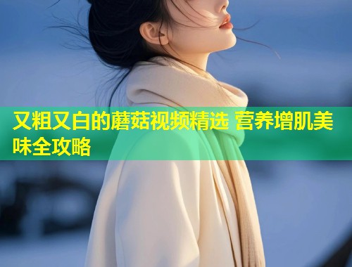 又粗又白的蘑菇视频精选 营养增肌美味全攻略