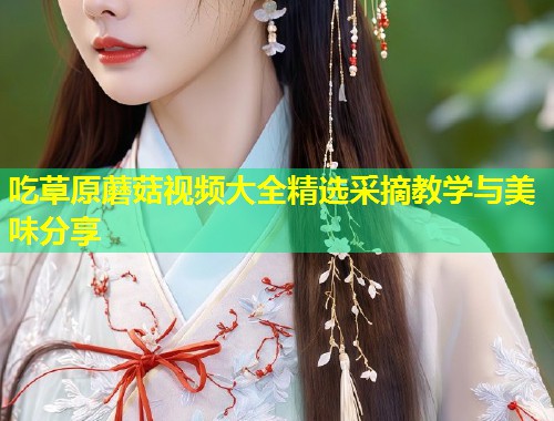 吃草原蘑菇视频大全精选采摘教学与美味分享