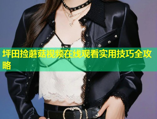 坪田捡蘑菇视频在线观看实用技巧全攻略