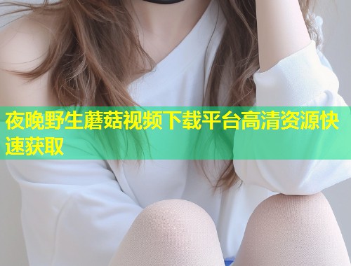 夜晚野生蘑菇视频下载平台高清资源快速获取