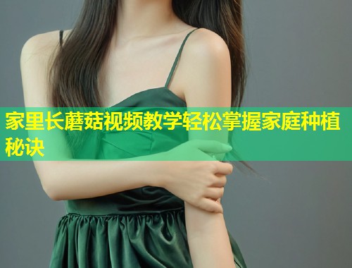 家里长蘑菇视频教学轻松掌握家庭种植秘诀