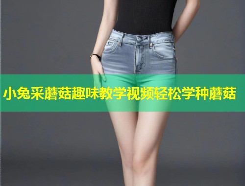 小兔采蘑菇趣味教学视频轻松学种蘑菇