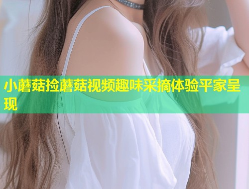 小蘑菇捡蘑菇视频趣味采摘体验平家呈现
