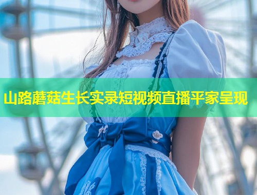 山路蘑菇生长实录短视频直播平家呈现