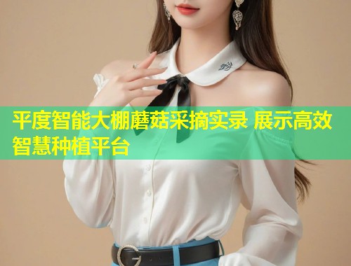 平度智能大棚蘑菇采摘实录 展示高效智慧种植平台